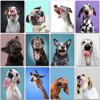 5D DIY Diamante Pintura Kit de animais dos desenhos animados Engraçados cão Bulldog Completo Quadrados&Redondos bordado mosaico de ponto de Cruz, Pintura de decoração de casa