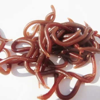 Novo soft pesca do lure do worms 45PCS/LOTE do mar Vermelho Worms Minhoca mole isca worms Isca isca de pesca de mar minhocas para pesca